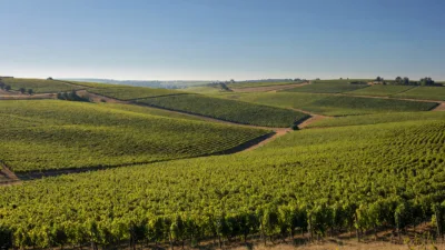 Aube : une coopérative champenoise déjà prête pour la canicule de 2050