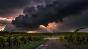 Aube : vigilance orange orages dès 16h ce jeudi, rafales jusqu&rsquo;à 120 km/h