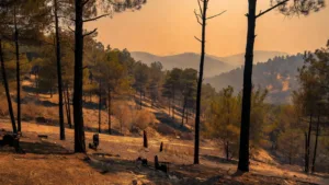 Aude : 15 pompiers du Lot envoyés en renfort anti-incendie