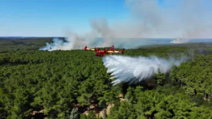 Aude : l&rsquo;incendie de Conques-sur-Orbiel maîtrisé après 20 hectares brûlés