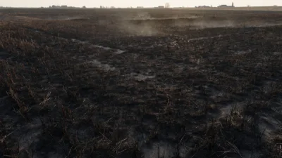 Bettborn : trois hectares de chaume partent en fumée, les pompiers maîtrisent