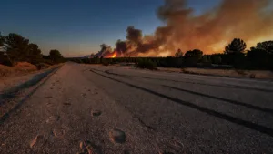 Biscarrosse : 95 chevaux évacués d&rsquo;un centre équestre, tous sauvés des flammes