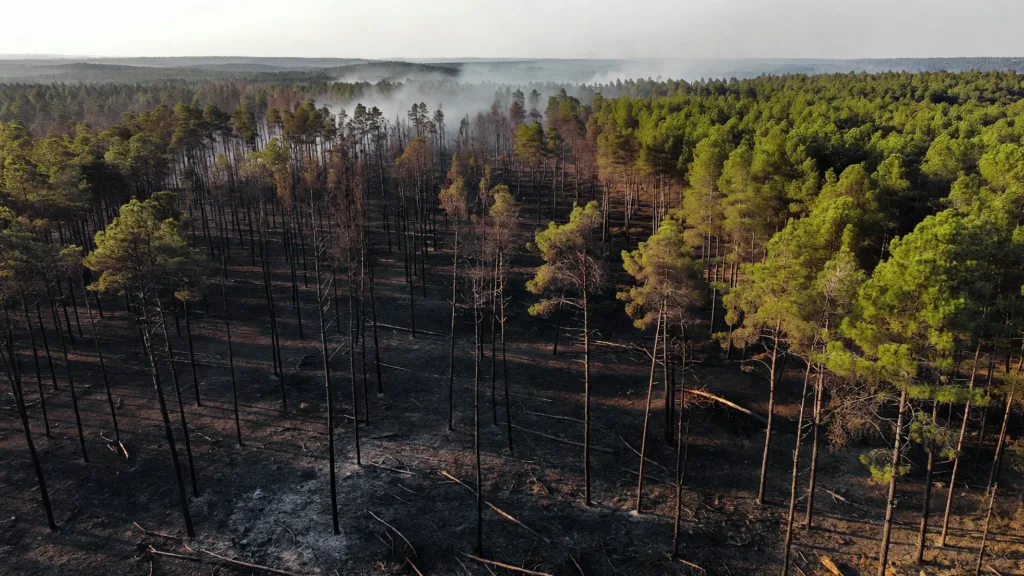 Biscarrosse : les pompiers de l'Eure rentrés après six jours de lutte