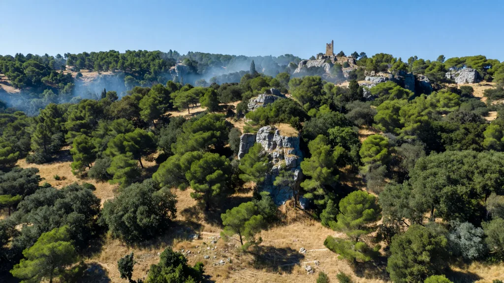 Bouches-du-Rhône : travaux interdits dès 13h lundi dans 16 massifs forestiers