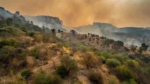 Bouches-du-Rhône : vigilance rouge incendie, tous les massifs fermés ce 23 juillet