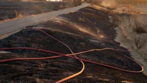 Bréhal : pompiers et agriculteurs maîtrisent un feu de broussailles