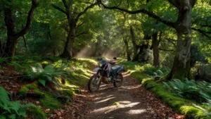 Camors : le préfet du Morbihan présente les motos de surveillance des forêts