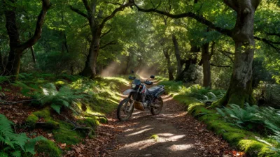 Camors : le préfet du Morbihan présente les motos de surveillance des forêts