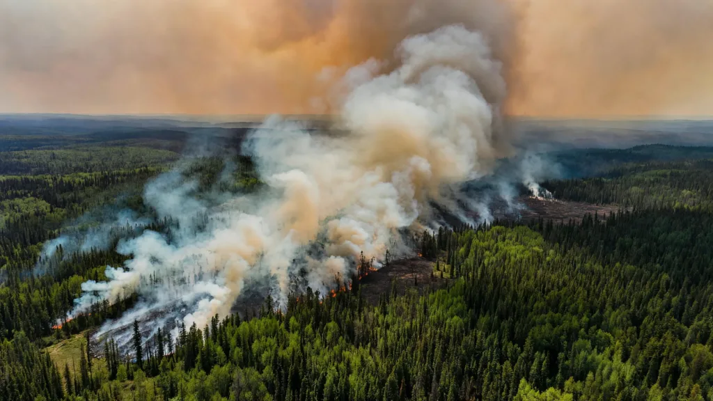Canada : Mark Carney mobilise 5 300 pompiers face à des feux records