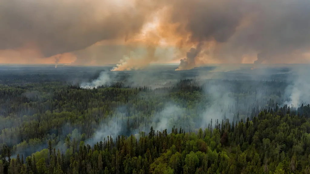 Canada : près de 1 000 feux de forêt actifs, Trump menace de tarifs douaniers
