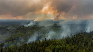 Canada : près de 1 000 feux de forêt actifs, Trump menace de tarifs douaniers