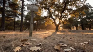 Canicule dans l&rsquo;Orne : vigilance orange dès ce lundi soir, restrictions maintenues