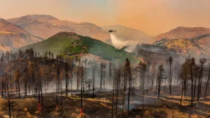 Canicule et incendies au Maghreb : le Maroc sous tension