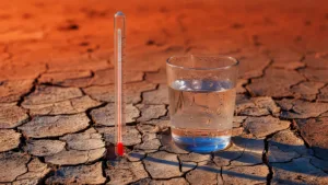 Canicule : la Charente et la Charente-Maritime en vigilance orange
