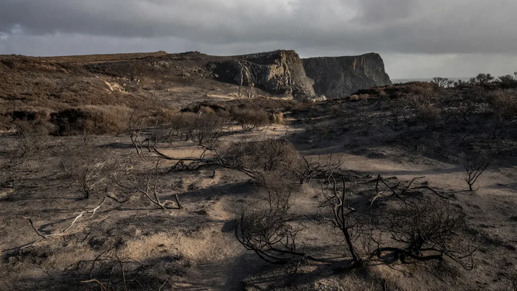 Cap Fréhel : 38 hectares brûlés, 600 ha sauvés après une nuit de lutte