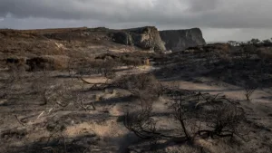 Cap Fréhel : 38 hectares brûlés, 600 ha sauvés après une nuit de lutte