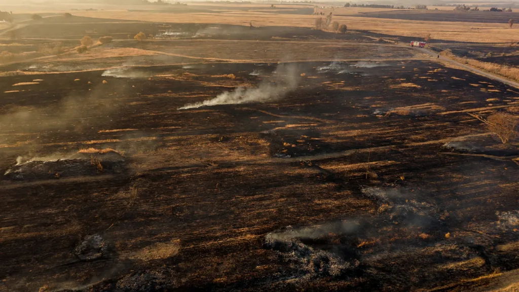 Castelginest : 66 hectares ravagés, 150 évacués, 30 maisons sauvées