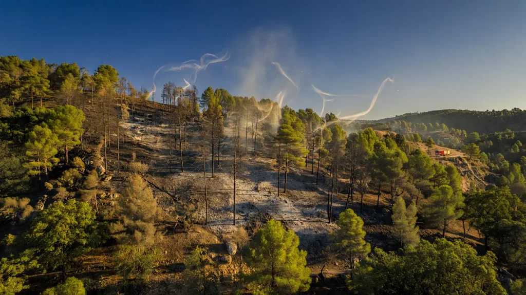 Castellane : un incendie de forêt de 5 hectares rapidement maîtrisé, habitants en état de choc