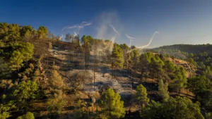 Castellane : un incendie de forêt de 5 hectares rapidement maîtrisé, habitants en état de choc