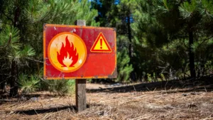 Charente-Maritime : vigilance très sévère feux de forêt sur 2 secteurs mercredi