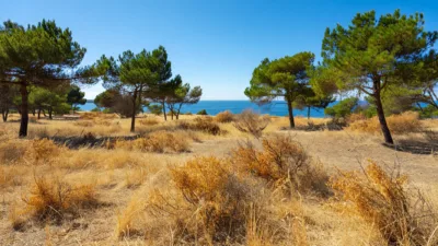 Charente-Maritime : vigilance très sévère feux de forêt sur le littoral ce jeudi