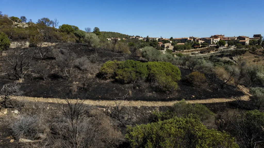 Châteauneuf-les-Martigues : incendie de broussailles maîtrisé, un hectare brûlé