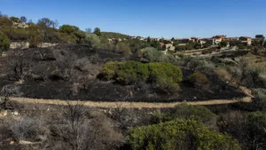 Châteauneuf-les-Martigues : incendie de broussailles maîtrisé, un hectare brûlé