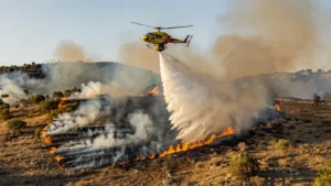 Châteauneuf-les-Martigues : l&rsquo;incendie de broussailles rapidement éteint par une centaine de pompiers