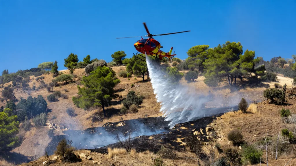 Châteauneuf-les-Martigues : un incendie de broussailles de 1 hectare maîtrisé par 100 pompiers