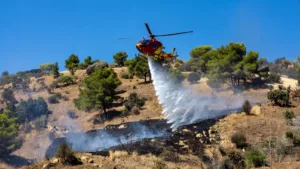 Châteauneuf-les-Martigues : un incendie de broussailles de 1 hectare maîtrisé par 100 pompiers