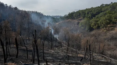 Chaumeil : six hectares de forêt détruits par l'incendie de Masmichel