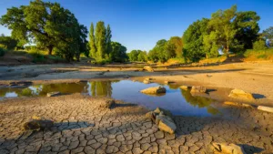 Cher : trois nouveaux bassins en crise, restrictions d&rsquo;eau renforcées