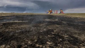 Cholet : 700 m² de végétation détruits par un incendie près d&rsquo;une aire de jeux