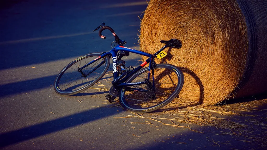 Chute à Pau : Vingegaard change de vélo mais limite la casse