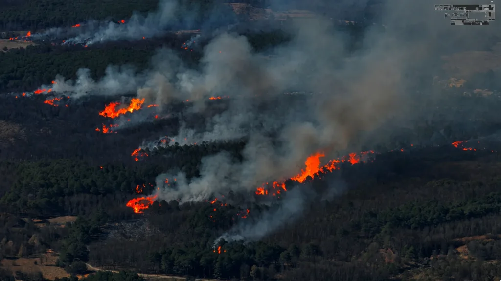 Cognac : les Reaper de la 33e Esra scrutent l'incendie en Gironde 24h/24