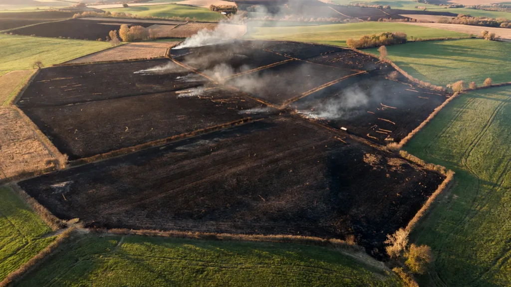 Collonge-en-Charollais : 12 hectares ravagés par un incendie agricole