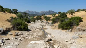 Corse-du-Sud : le nord du département en alerte renforcée sécheresse