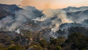 Corte : 220 hectares détruits, le président du SIS 2B dénonce un manque de moyens