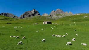 Corte : charte des estives et maintenance routière au menu du Comité de Massif