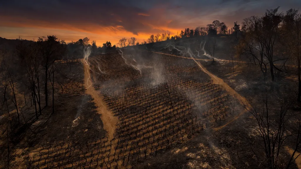 Côte-d'Or : les feux de forêt désormais maîtrisés après 200 pompiers mobilisés