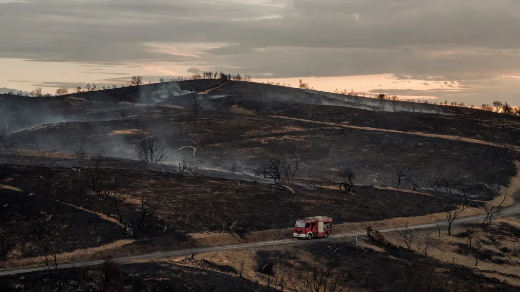 Creuse : 12 hectares brûlés à Gouzon, 36 pompiers mobilisés