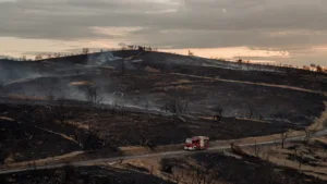 Creuse : 12 hectares brûlés à Gouzon, 36 pompiers mobilisés