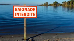 Creuse : baignade interdite à Jouillat et Anzême à cause des cyanobactéries