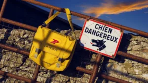 Creuse : cinq facteurs mordus par des chiens depuis janvier, La Poste réagit
