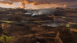 Creuse : l&rsquo;incendie de Toulx-Sainte-Croix fixé après 50 hectares brûlés