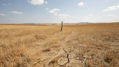 Creuse : sécheresse historique, prairies grillées et éleveurs en alerte