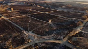 Deux-Sèvres : 14 départs de feu maîtrisés le 11 juillet, 24,6 hectares détruits