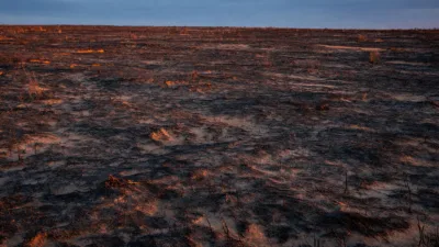 Deux-Sèvres : 565 hectares brûlés depuis juillet, 9 feux sur 10 d'origine humaine