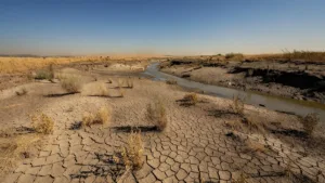 Deux-Sèvres : la sécheresse fait bondir la consommation d&rsquo;eau potable