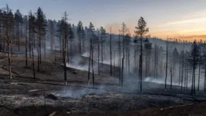Diois : nuit calme confirmée, le feu actif à Pontaix traité par les pompiers